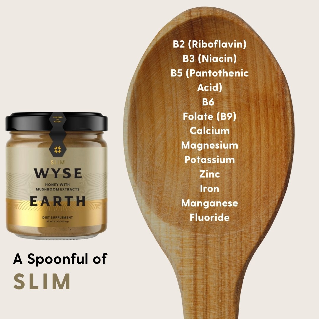 SLIM [2 jars]